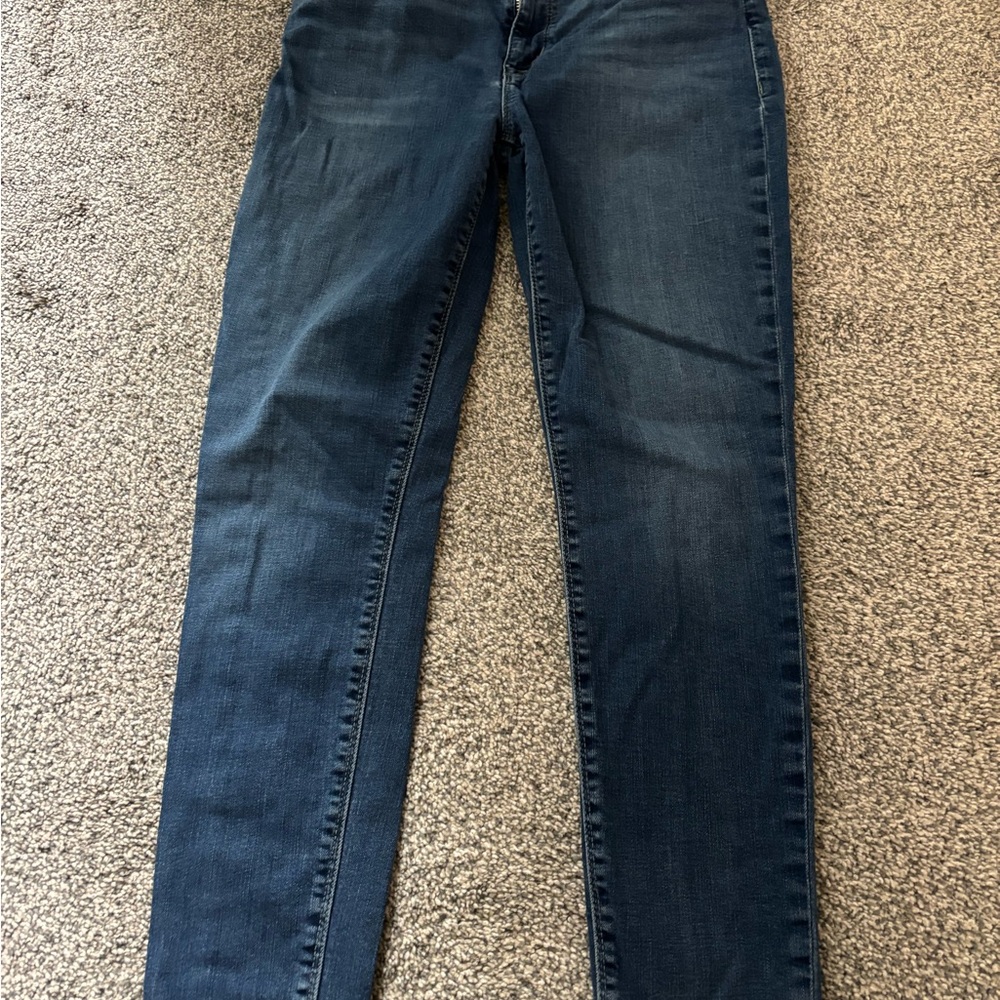 Hudson Jeans Dark Blue Skinny Jeans